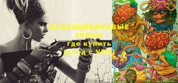 гидра Алзамай