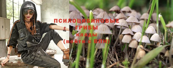 MDMA Алексеевка